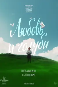 Постер новости